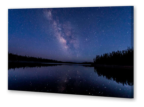 Cuadro Canvas Cielo Bosque Estrellado Lago Espejado