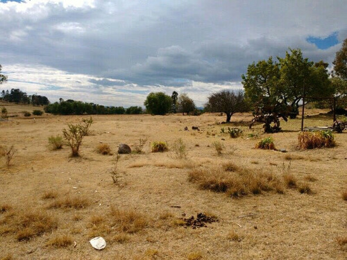 Imagen 3 de 9 de Terreno En Excelente Ubicación