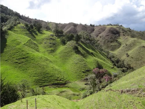 Finca En Venta La Unión Via Abejorral Antioquia. 83 Hectareas