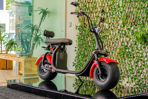 Imagem 13 de 14 de Scooter Eletrica 1500 Gloov