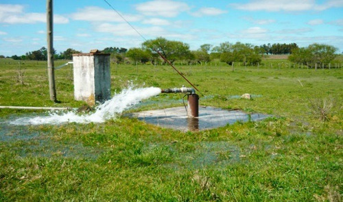 Campo En Venta En Lavalleja, 151 Hectáreas.