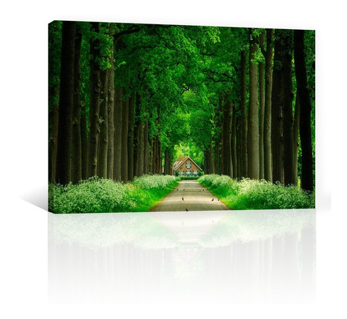 Cuadro Decorativo Canvas Naturaleza Bosque Cabaña Y Sendero