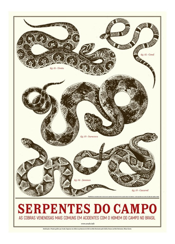 Serpentes Do Campo