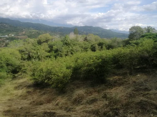 Lote En La Mesa, San Joaquín, Vereda Baltimore