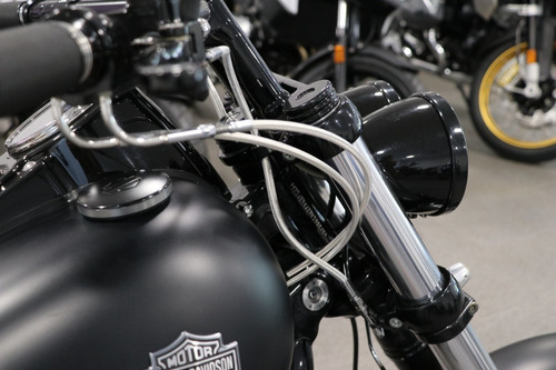 Imagen 11 de 19 de Harley Davidson Fat Bob