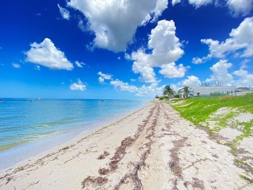 Terrenos A 200 Metros Del Mar En San Benito Yucatán
