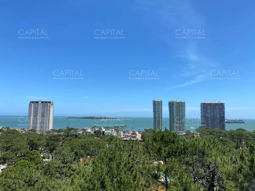 Apartamento De Un Dormitorio Con Vista Al Mar, Playa Mansa, Punta Del Este