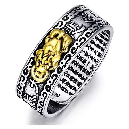 Anillo de la suerte de acero de titanio para mujer, sortija de dedo con  amuleto inoxidable, moneda atrapasueños, Feng Shui, Pixiu, Mantra, riqueza