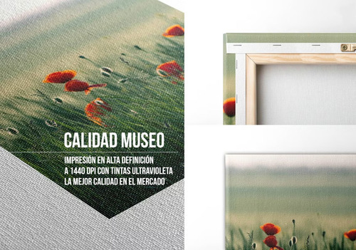 Cuadro Canvas Algodón Michael Jordan Type 96x145