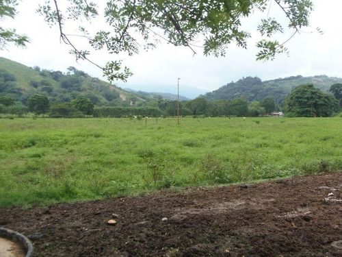 Imagen 15 de 30 de Finca En Venta San Felipe 1500 Ha, #23-14481