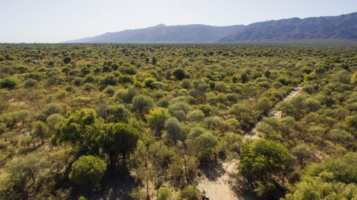 Imagen 11 de 18 de Venta De Campos En Córdoba Chancaní Campo Ganadero