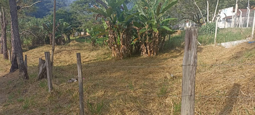 Chacara No Bairro Taquari - Sp 50 Km 23,5 Área De 540m² Sendo 13 De Largura E 42 De Comprimento.