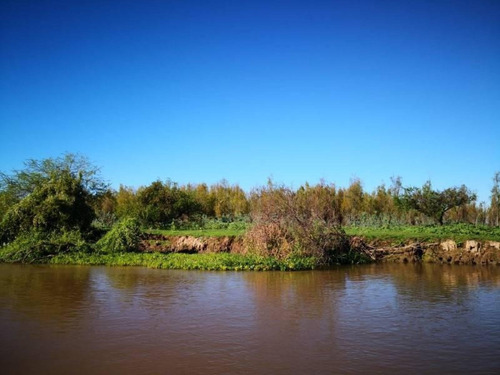 Imagen 19 de 29 de Campo De Isla Ganadero, 2.000 Has Sobre El Paranacito