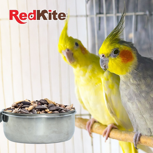 Imagen 3 de 4 de Plato Tazon Colgante Para Avez Loros Pajaros De Jaula 30 Oz
