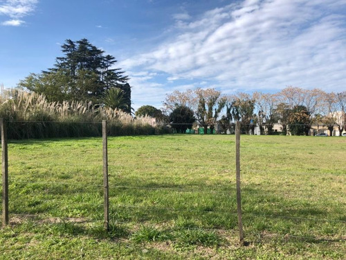 Imagen 1 de 4 de Terreno En Venta En Lobos