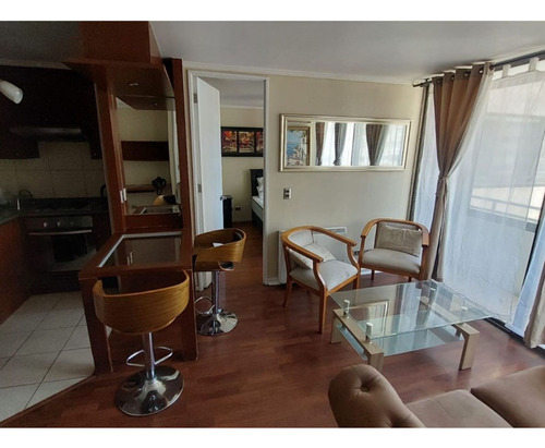 Arriendo Amoblado 2d 2b Metro Santa Ana