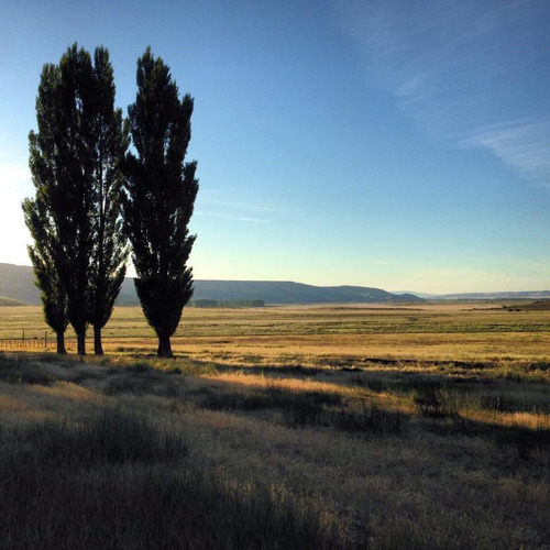 Estancia Manantiales De Collón Cura - Patagonia Argentina