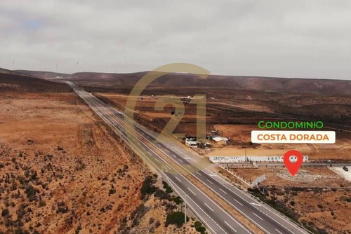 Hermosa Parcela Entre Tongoy Y Los Vilos.