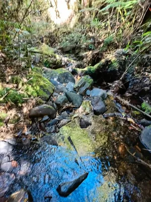 Finca en venta