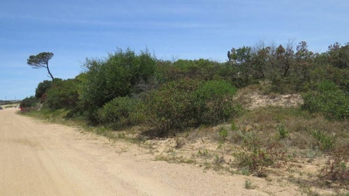 Imagen 4 de 5 de Terreno En Chihuahua Muy Cerca De La Playa