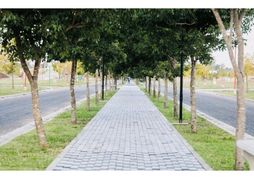 Terreno A La Venta- Ribera De Andino