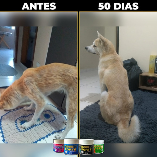 Vitamina Para Abrir O Apetite Cachorro Forte 250g
