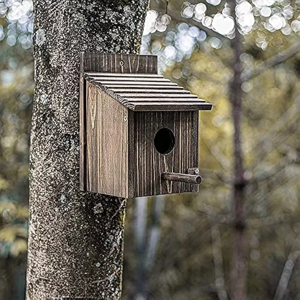 Tercera imagen para búsqueda de casas para pajaros