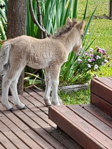 Casa Campo Para Descansar 