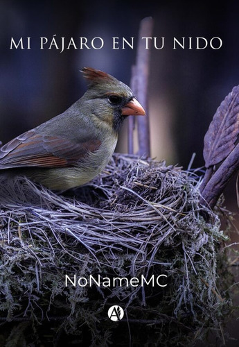 Mi Pájaro En Tu Nido - Nonamemc