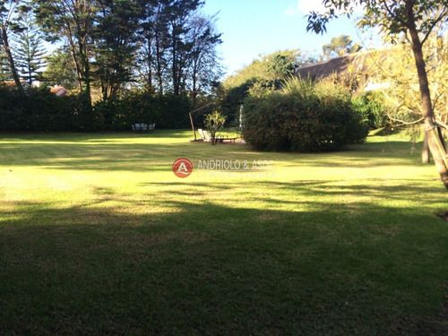 Casa En Venta Y Alquiler, Golf, Punta Del Este, 4 Dormitorios.- Ref: 6414