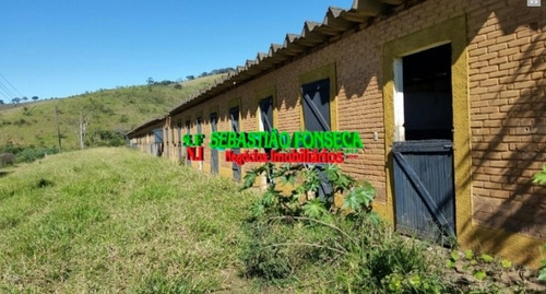 Imagem 15 de 15 de Sítio - Pousada - Haras - Em Pouso Alto / São Lourenço - Mg - 777