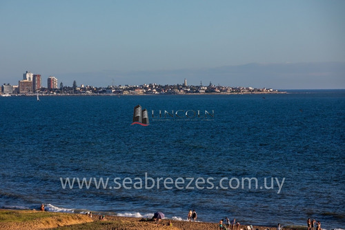 Sea Breezes - Punta Del Este - 3 Dormitorios - Excelente Ubicación Y Servicios - Ref: 269