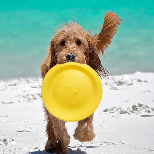 Frisbee para perros de goma eva, Mascosas