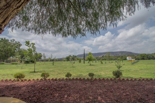 Imagen 17 de 30 de Rancho Morera En Venta, Carretera A Dolores Hidalgo En San M