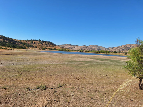 Venta De Campo Agrícola En Sagrada Familia 72.387-cam
