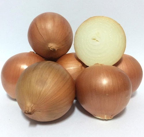 Semillas Organicas De Cebolla Grano De Oro 100% Naturales