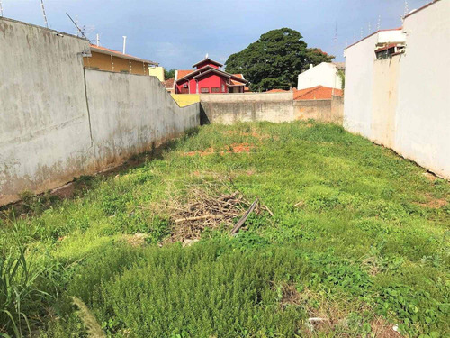 Imagem 1 de 4 de Terreno À Venda Em Nova Campinas - Te018213