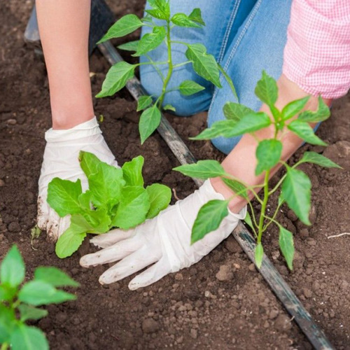 Curso De Jardinero Jardinería Botánica Agricultura Completo