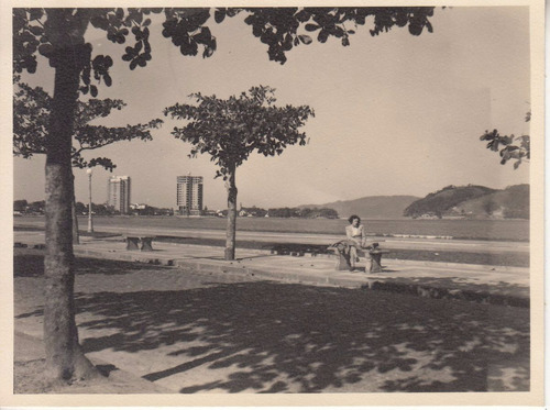 1949 Brasil Fotografia Real Vista Rambla Ciudad De Santos