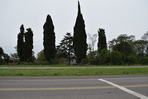 Imagen 5 de 5 de Quinta 27500 M2 Ruta 8 - Km. 144