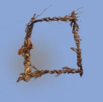 Comprar Marcos.de Ramajes De Coco Natural, Belleza Consciente