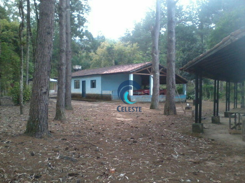 Imagem 5 de 19 de Sítio À Venda, 251 Mil M² São Francisco Xavier/sp - Si0012