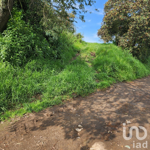 Venta Terreno 0 Ambiente San Antonio Zoyatzingo