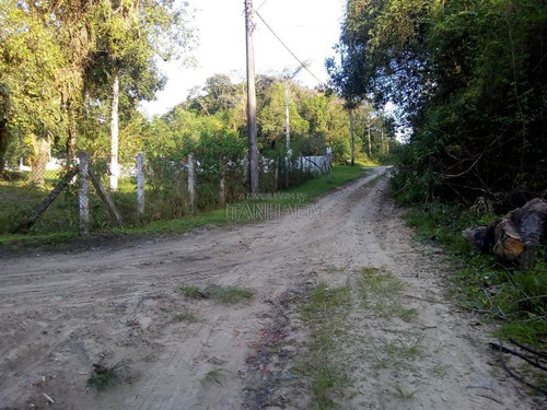 Imagem 2 de 4 de Terreno - Venda - Jardim Coronel - Itanhaém - Sue5
