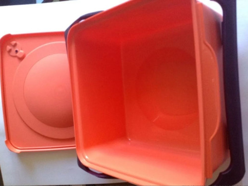 Porta Picnic Kimono Caja Tupperware 9 L Canasta
