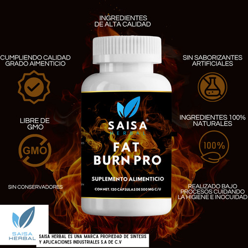 L-Carnitina + CLA 120 Cáps SAISA HERBAL | Quemador de Grasa Natural con Té Verde, Tejocote y Alcachofa | Energía y Definición