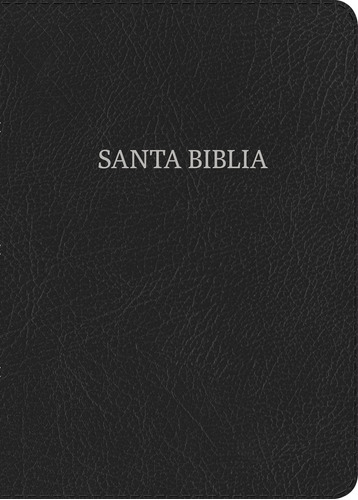 Nvi Biblia Letra Grande Tamano Manual Negro, Piel Fabricada 