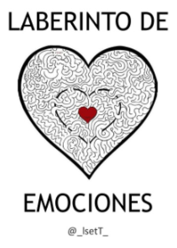 Laberinto De Emociones (reflexiones En Blanco Y Negro)