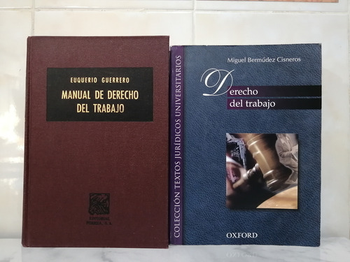 Libro. Manual De Derecho De Trabajo. +1 Afín. Euquerio Guerr (Usado)