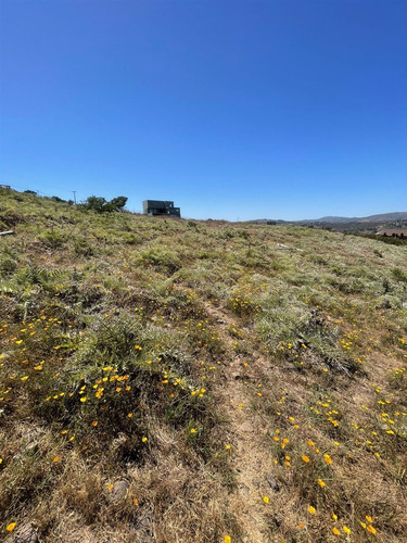 Sitio En Venta En Quintero